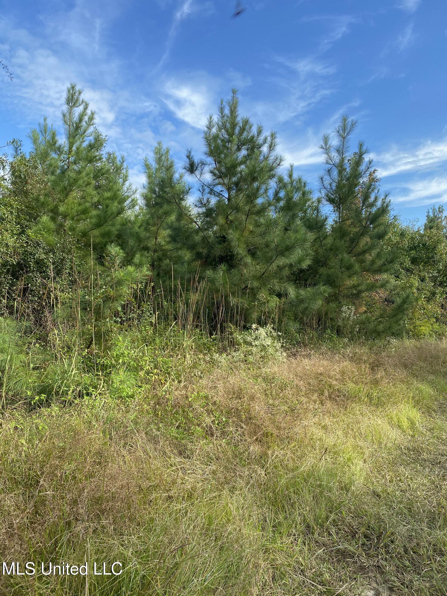 Big Cedar Creek Road, Lucedale, Mississippi image 12