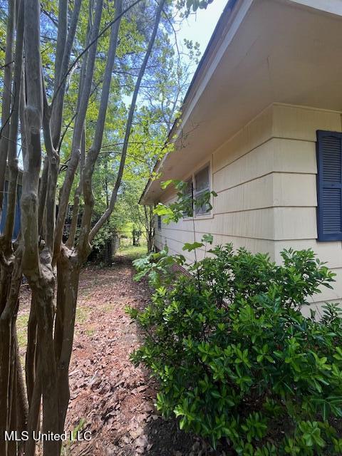 245 Shady Circle, Jackson, Mississippi image 4