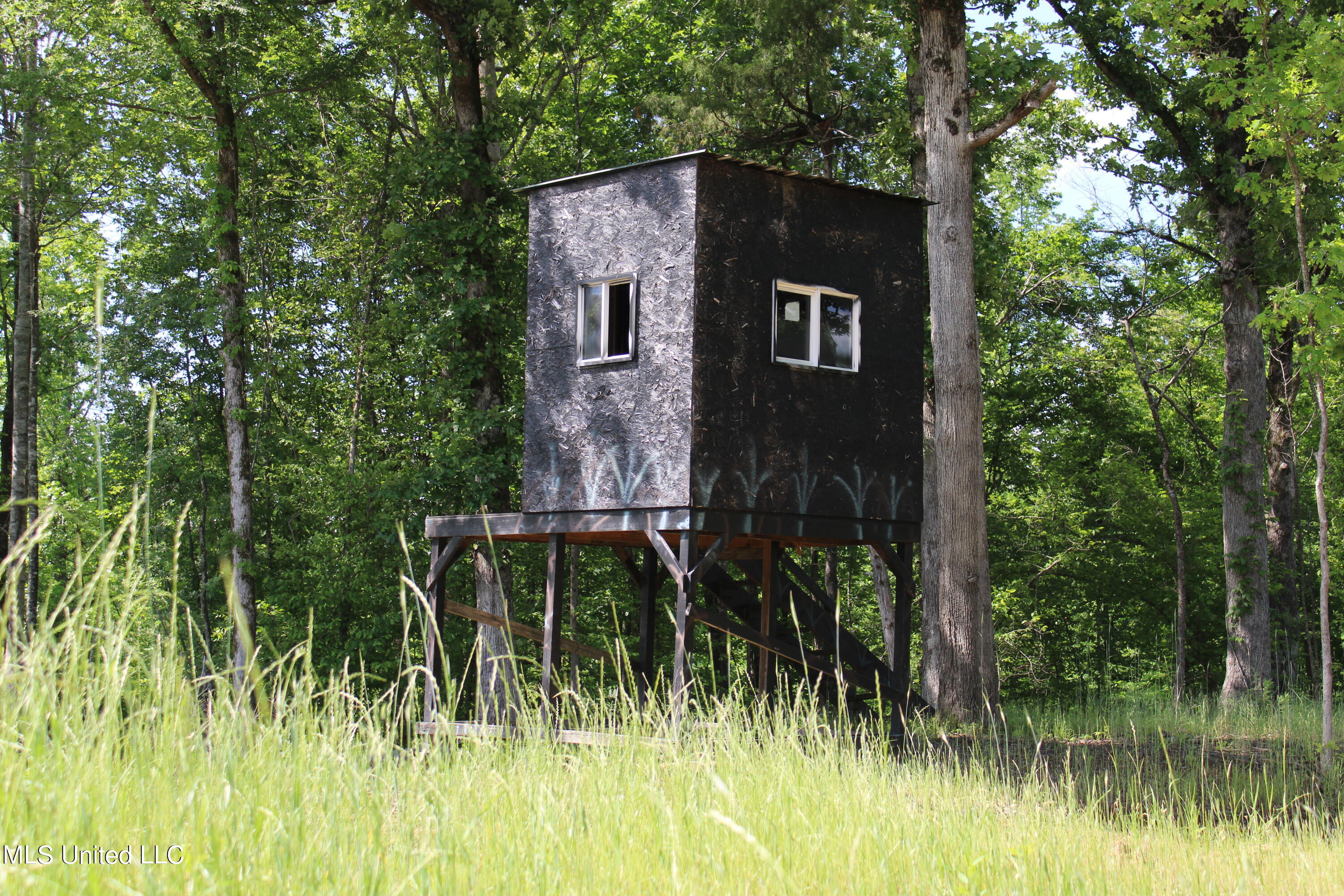 Ascalmore Creek Road, Cascilla, Mississippi image 7