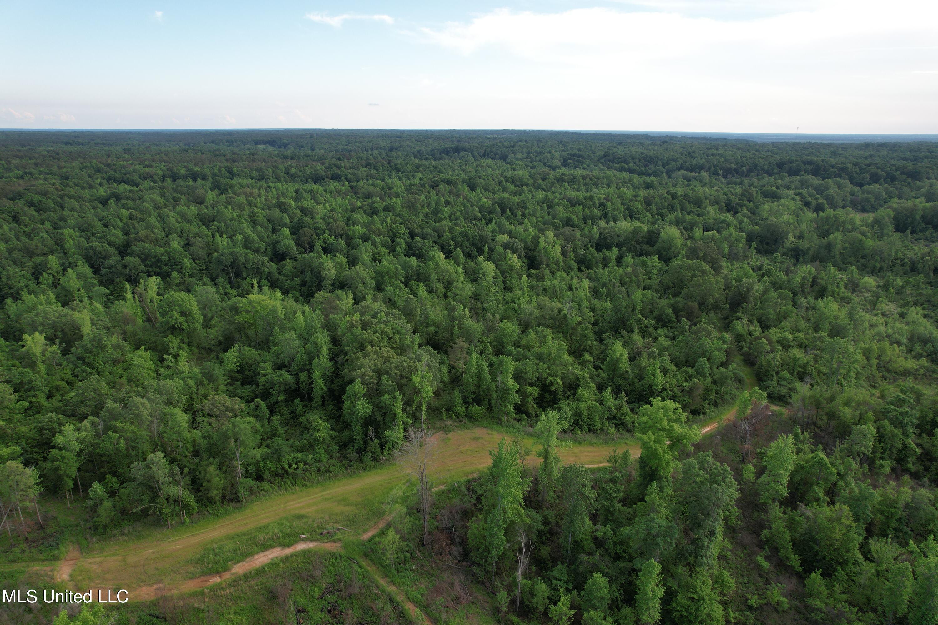 Ascalmore Creek Road, Cascilla, Mississippi image 1