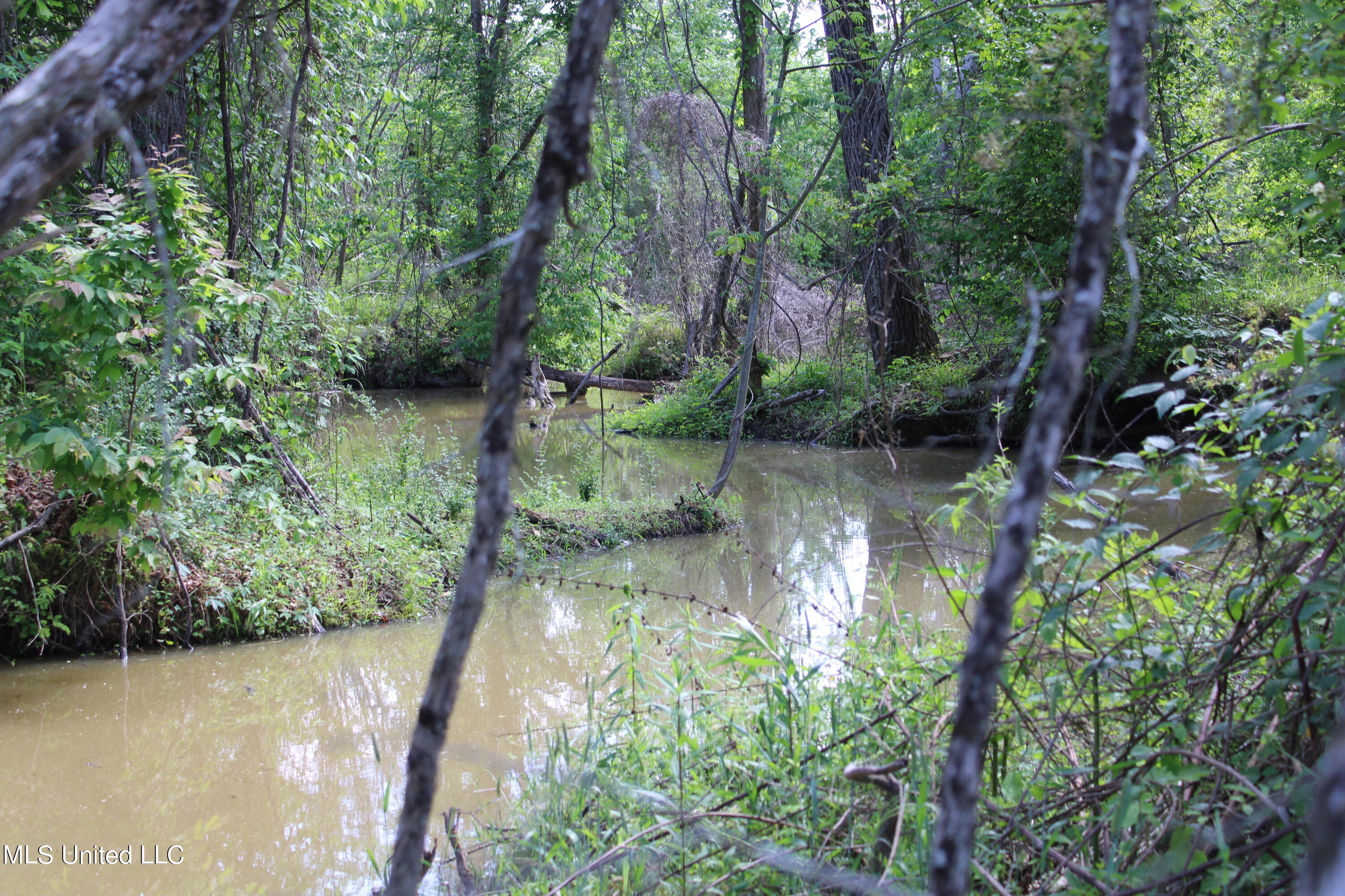 Ascalmore Creek Road, Cascilla, Mississippi image 11