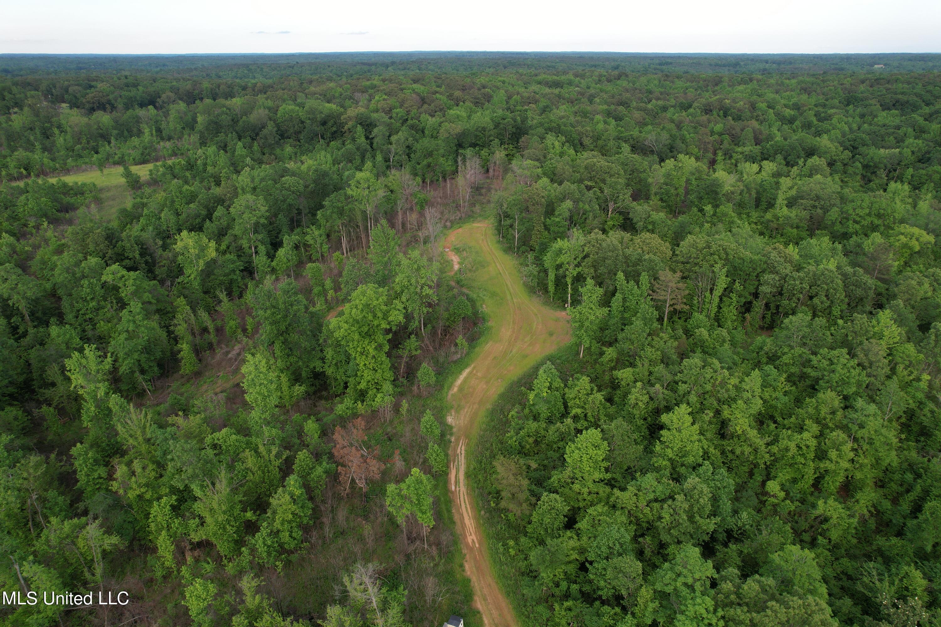 Ascalmore Creek Road, Cascilla, Mississippi image 2