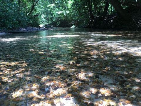 Vacant Land For Sale - . Givens Mullins Road<br/> Lawrence County, Monticello, MS 39654