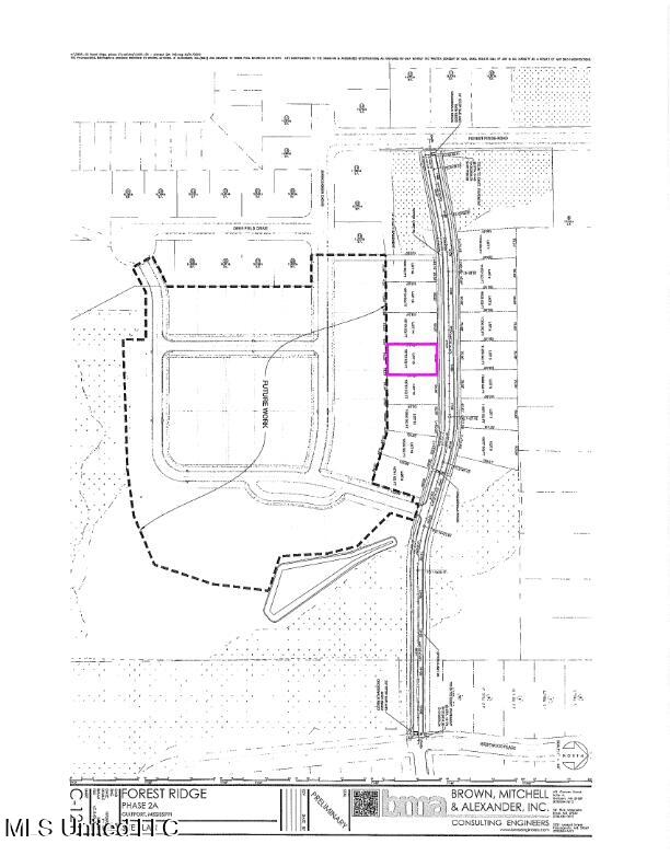 Orchard Street, Gulfport, Mississippi image 1