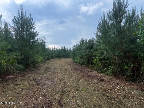 Vacant Land For Sale - Ms Hwy 540<br/> Braxton, MS 39044