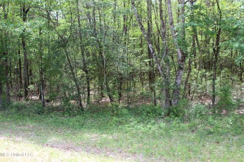 Vacant Land For Sale - 87.6 Acres Rousanville Road<br/> Leakesville, MS 39451