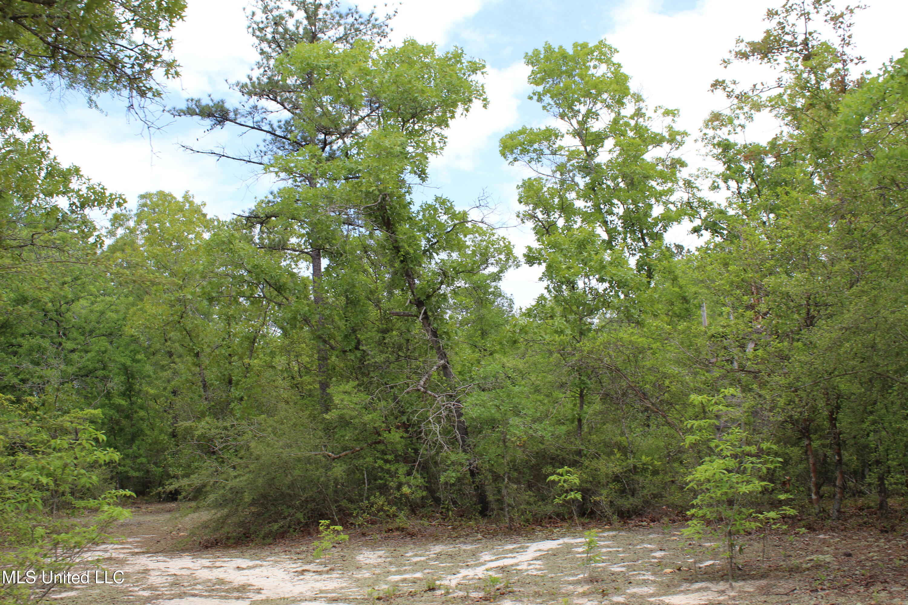 87.6 Acres Rousanville Road, Leakesville, Mississippi image 24