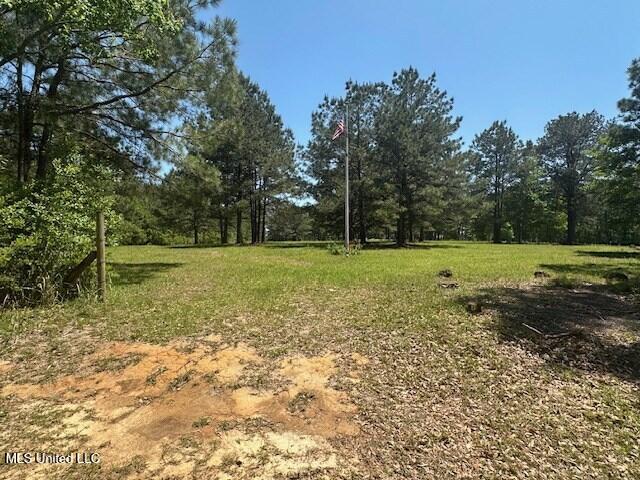 65 Quitman Perry Road, Carriere, Mississippi image 17