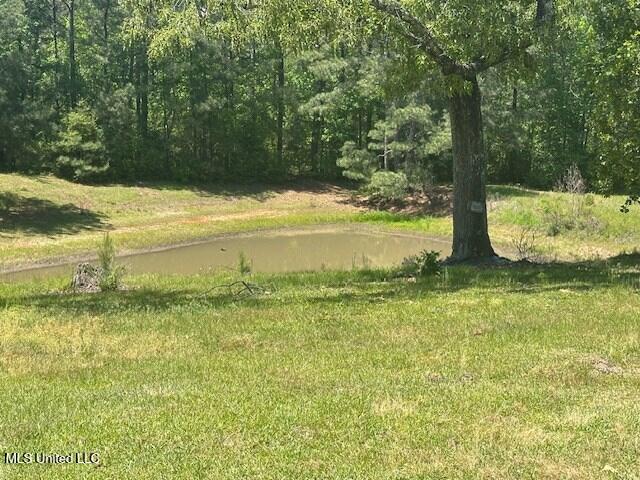 65 Quitman Perry Road, Carriere, Mississippi image 25