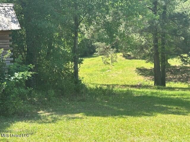 65 Quitman Perry Road, Carriere, Mississippi image 24