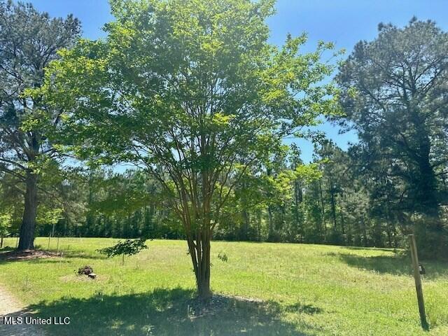 65 Quitman Perry Road, Carriere, Mississippi image 15