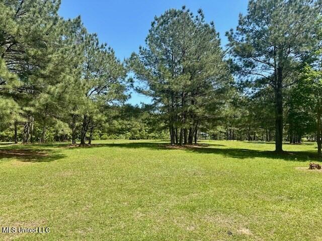 65 Quitman Perry Road, Carriere, Mississippi image 16