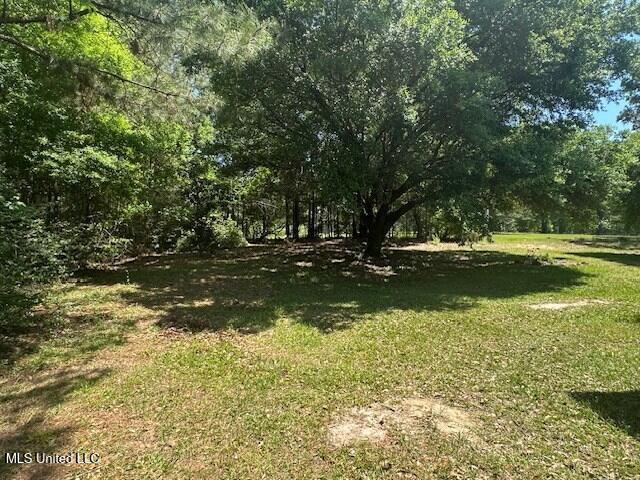 65 Quitman Perry Road, Carriere, Mississippi image 19