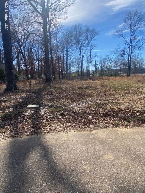 Vacant Land For Sale - Nash Drive<br/> Grenada, MS 38901