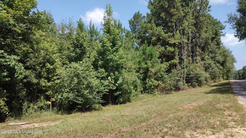 Vacant Land For Sale - Worth Nall Road<br/> Lumberton, MS 39455