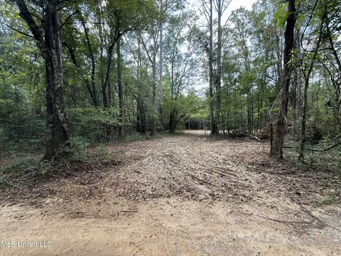 Vacant Land For Sale - SW Dalton Lane<br/> Smithdale, MS 39664