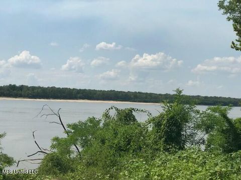 Vacant Land For Sale - 000 Jackson Point Road<br/> Wilkinson County, Woodville, MS 39669