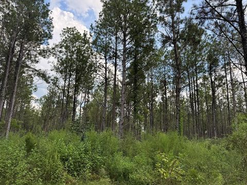 Vacant Land For Sale - Graves Road<br/> Amite County, Liberty, MS 39645