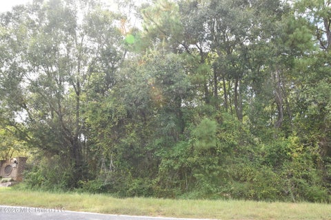 Vacant Land For Sale - Lobouy Road<br/> Harrison County, Pass Christian, MS 39571