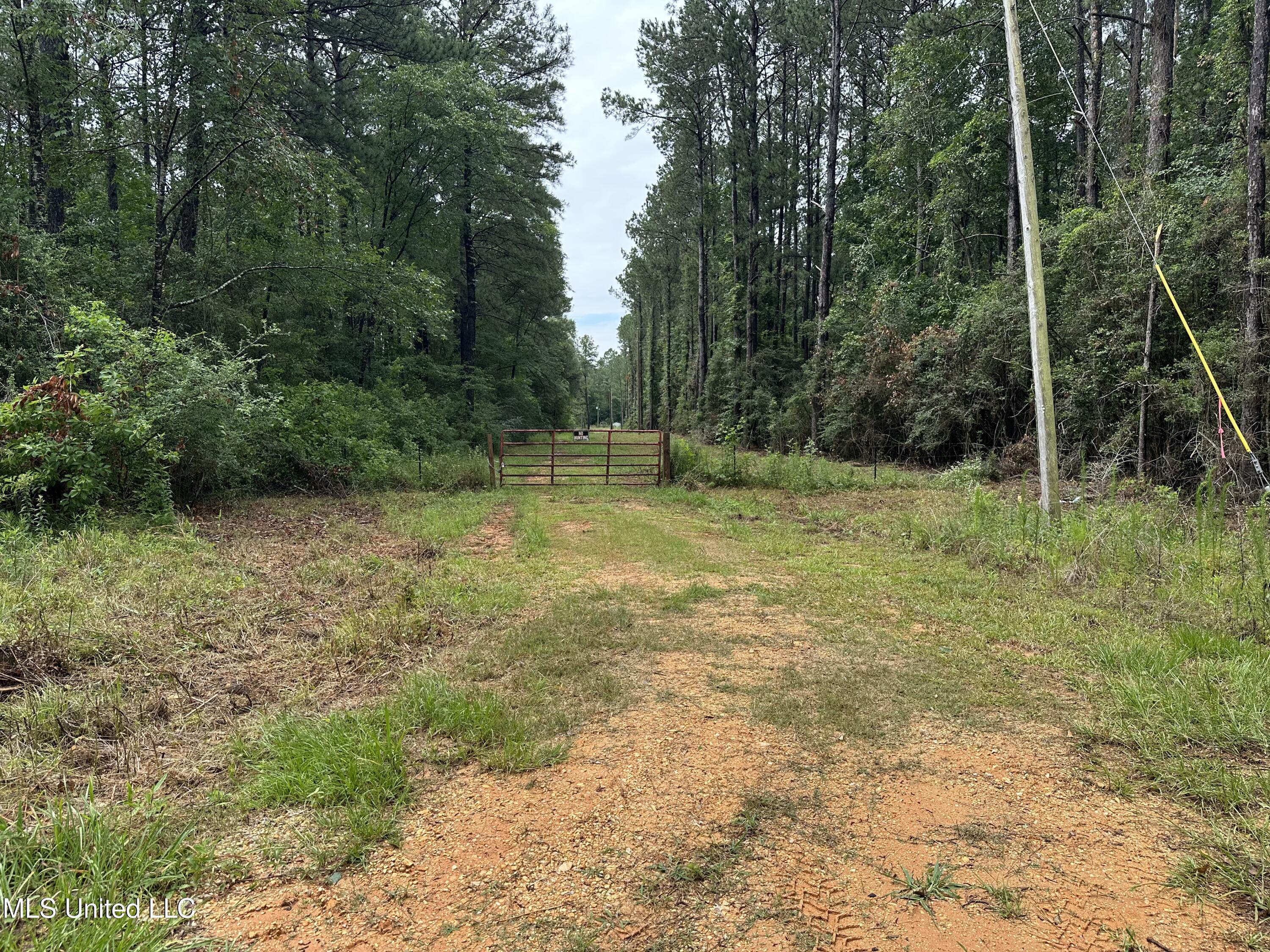 261 Tom Chance Road, Poplarville, Mississippi image 8