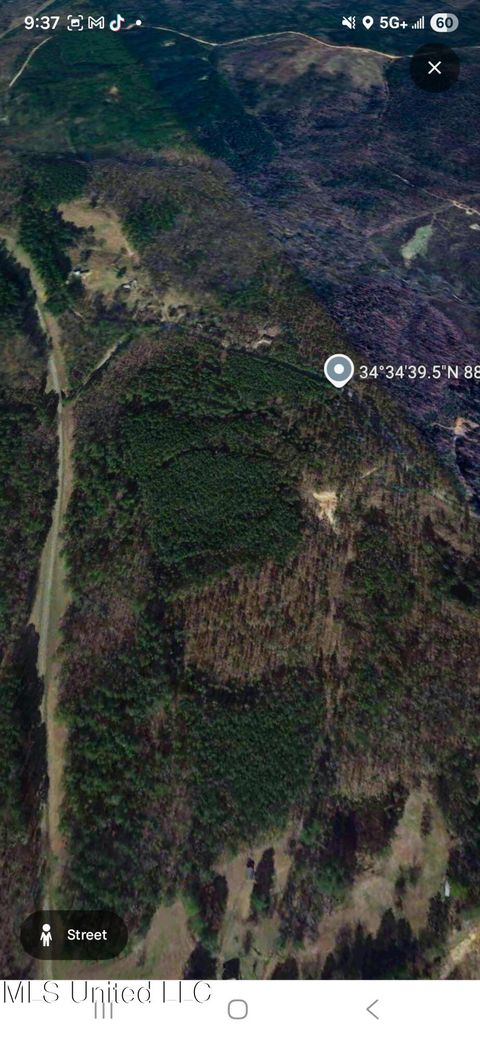 Vacant Land For Sale - Co Rd 32<br/> Tishomingo County, Dennis, MS 38838