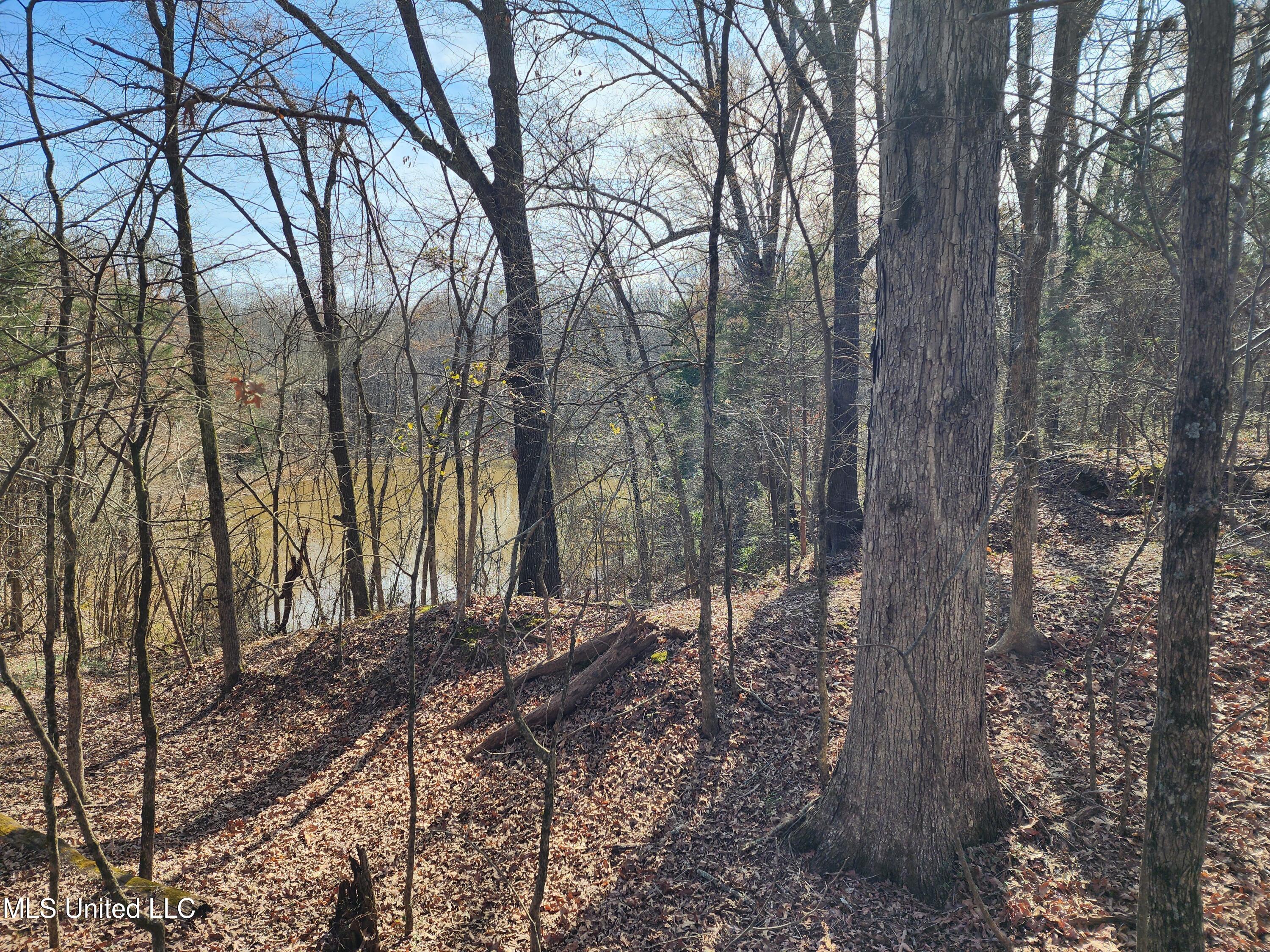 4 Old Hwy 7, Holly Springs, Mississippi image 5