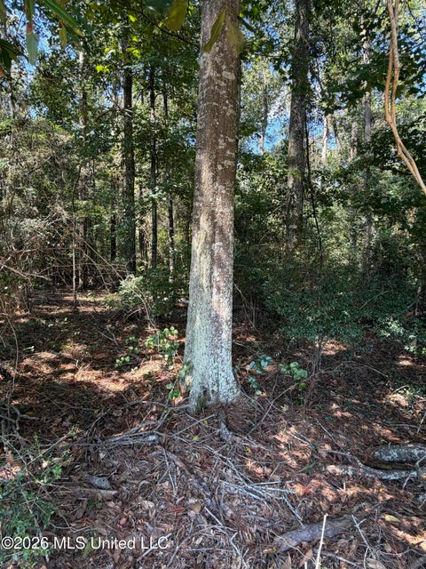 Vacant Land For Sale - Adams Road<br/> Smithdale, MS 39664