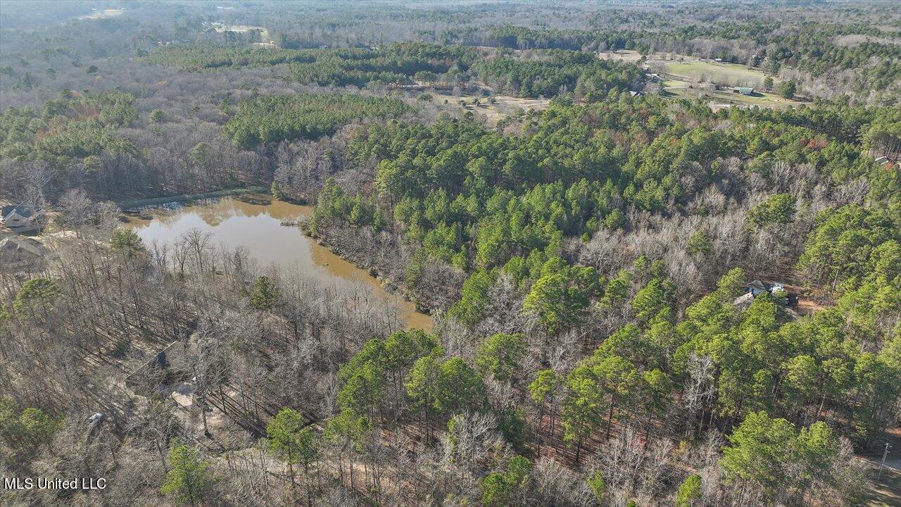 1074 Ridgeside Drive, Brandon, Mississippi image 8