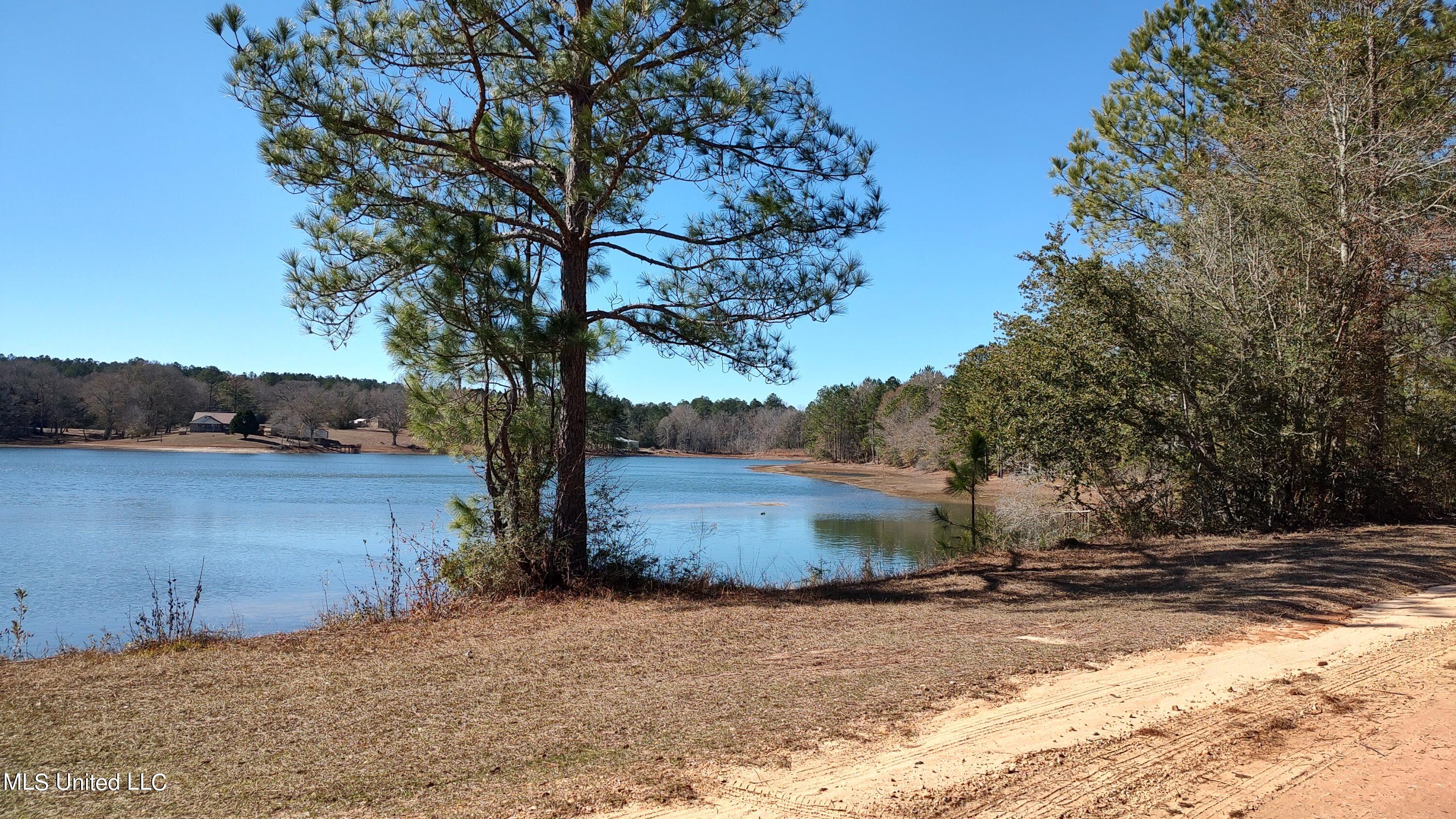 N Lakeshore Drive, Lumberton, Mississippi image 8