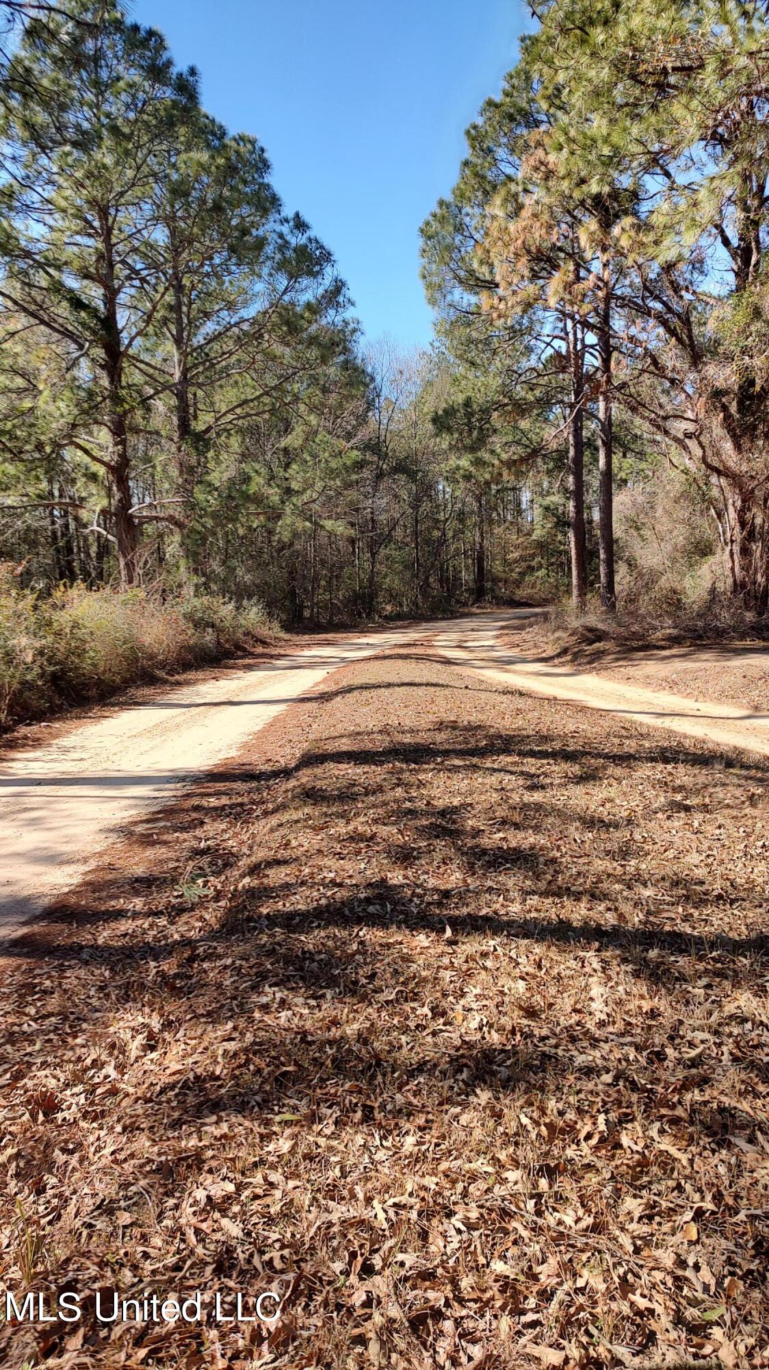 N Lakeshore Drive, Lumberton, Mississippi image 6