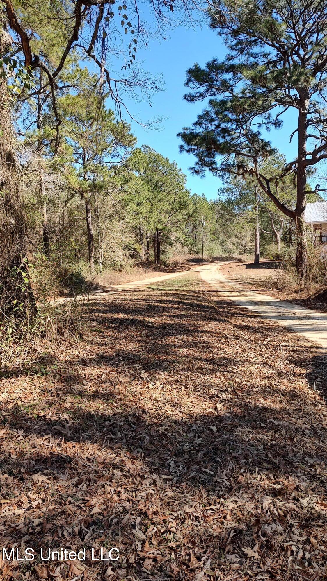 N Lakeshore Drive, Lumberton, Mississippi image 5