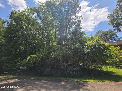 Vacant Land For Sale - 1403 E Lakeshore Drive<br/> Carriere, MS 39426