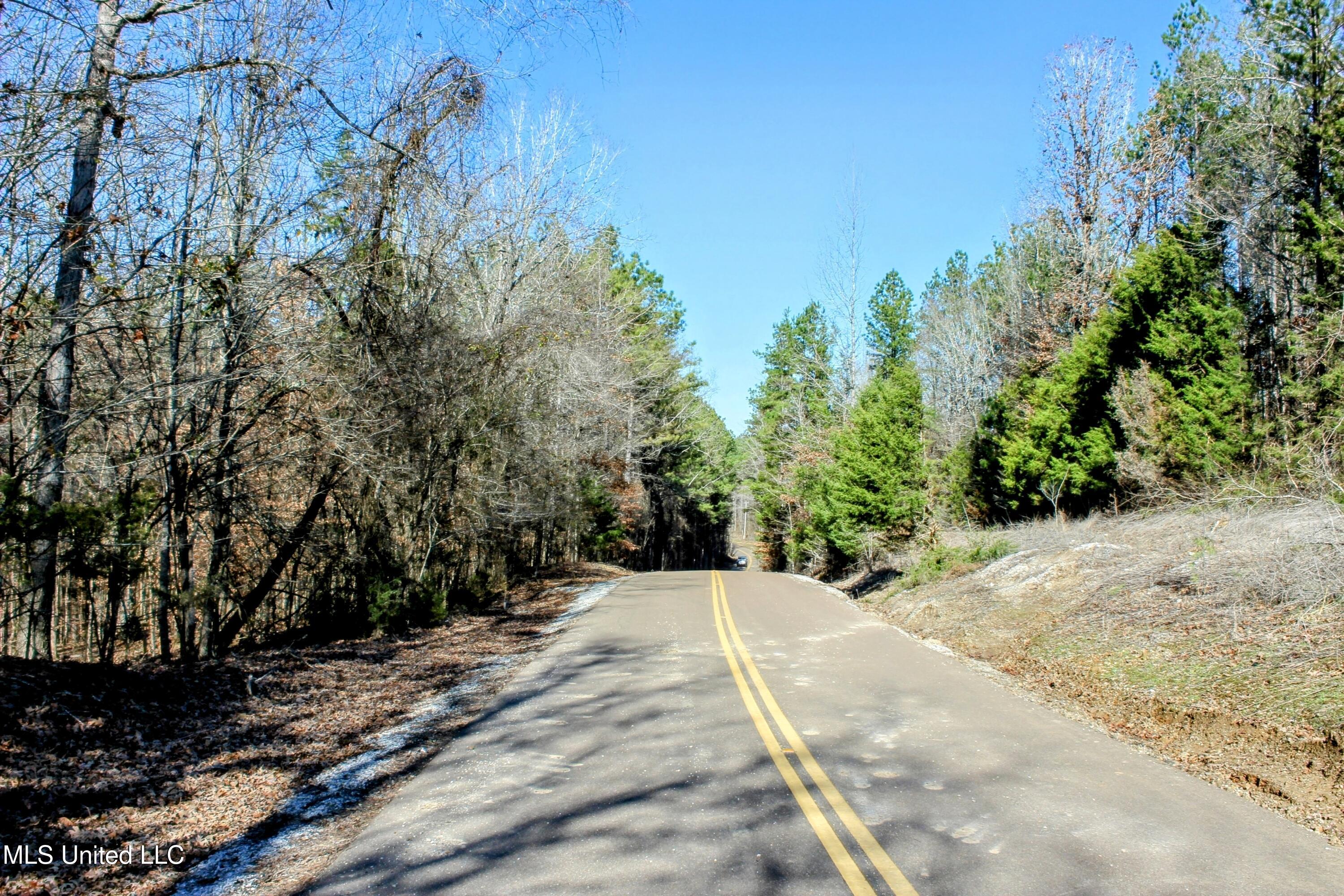 Tbd Cr 493, Paris, Mississippi image 9