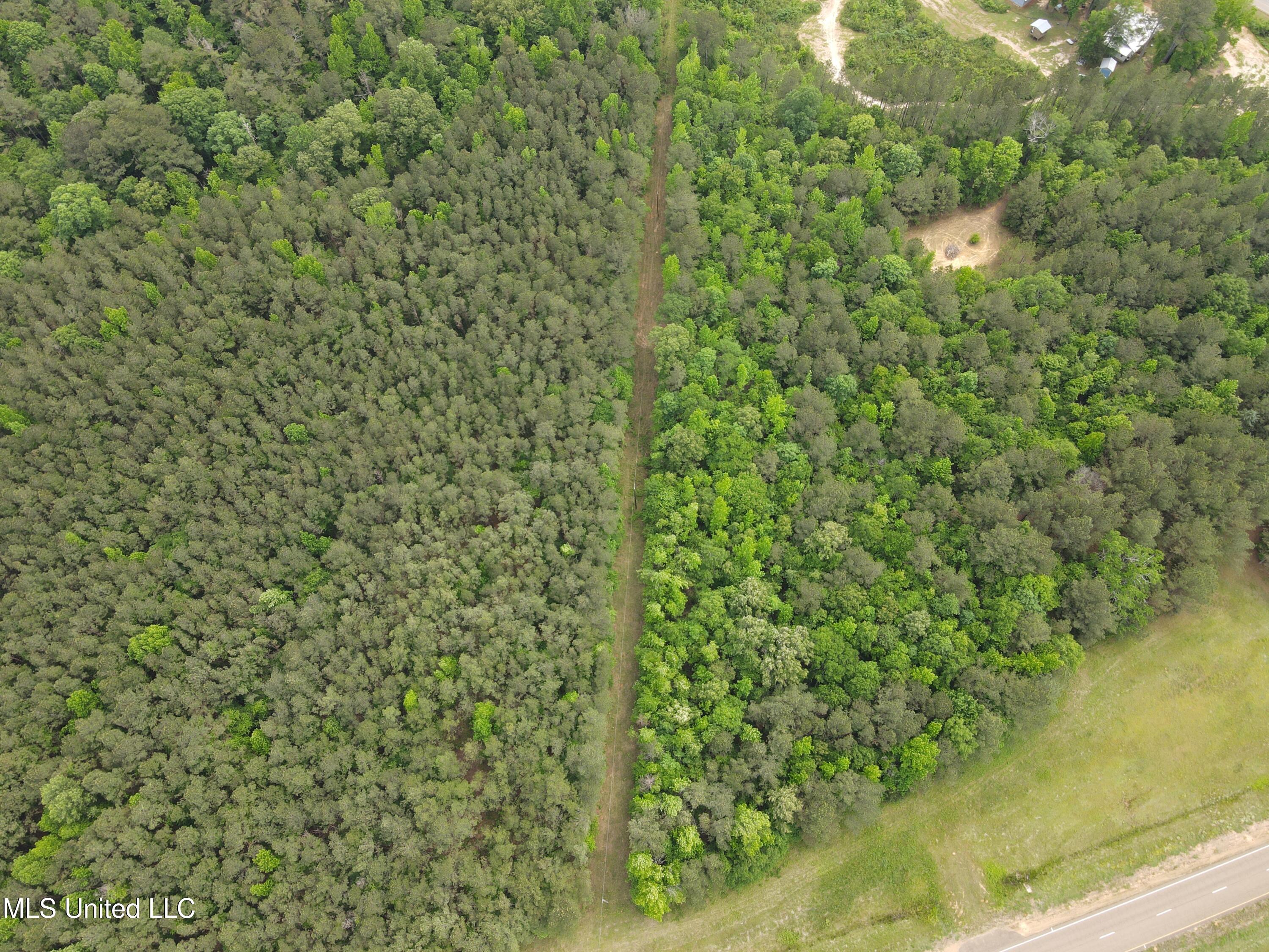 Off Of Mars Hill Road, Carthage, Mississippi image 9