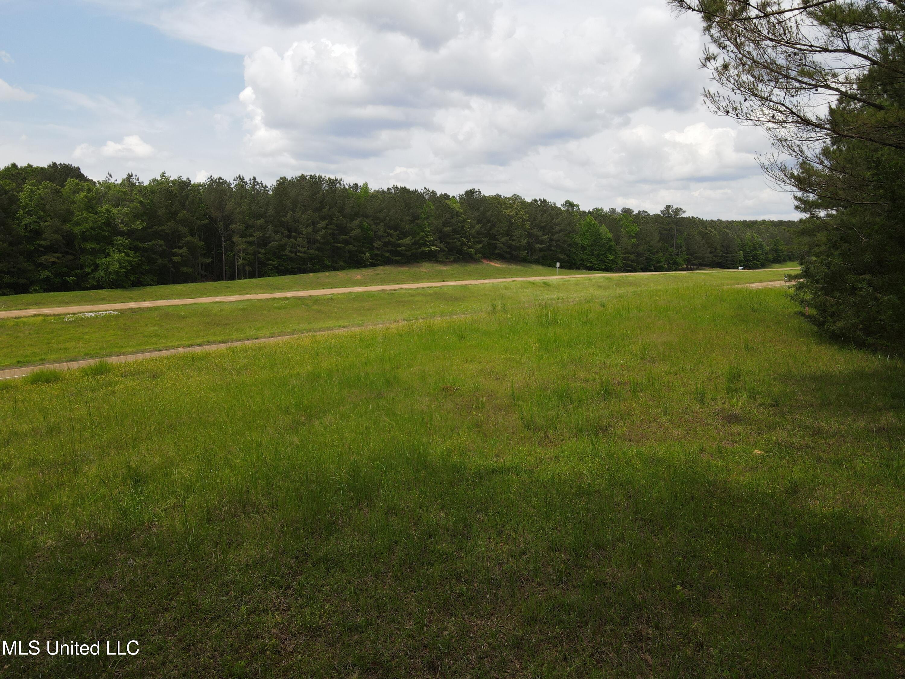 Off Of Mars Hill Road, Carthage, Mississippi image 13