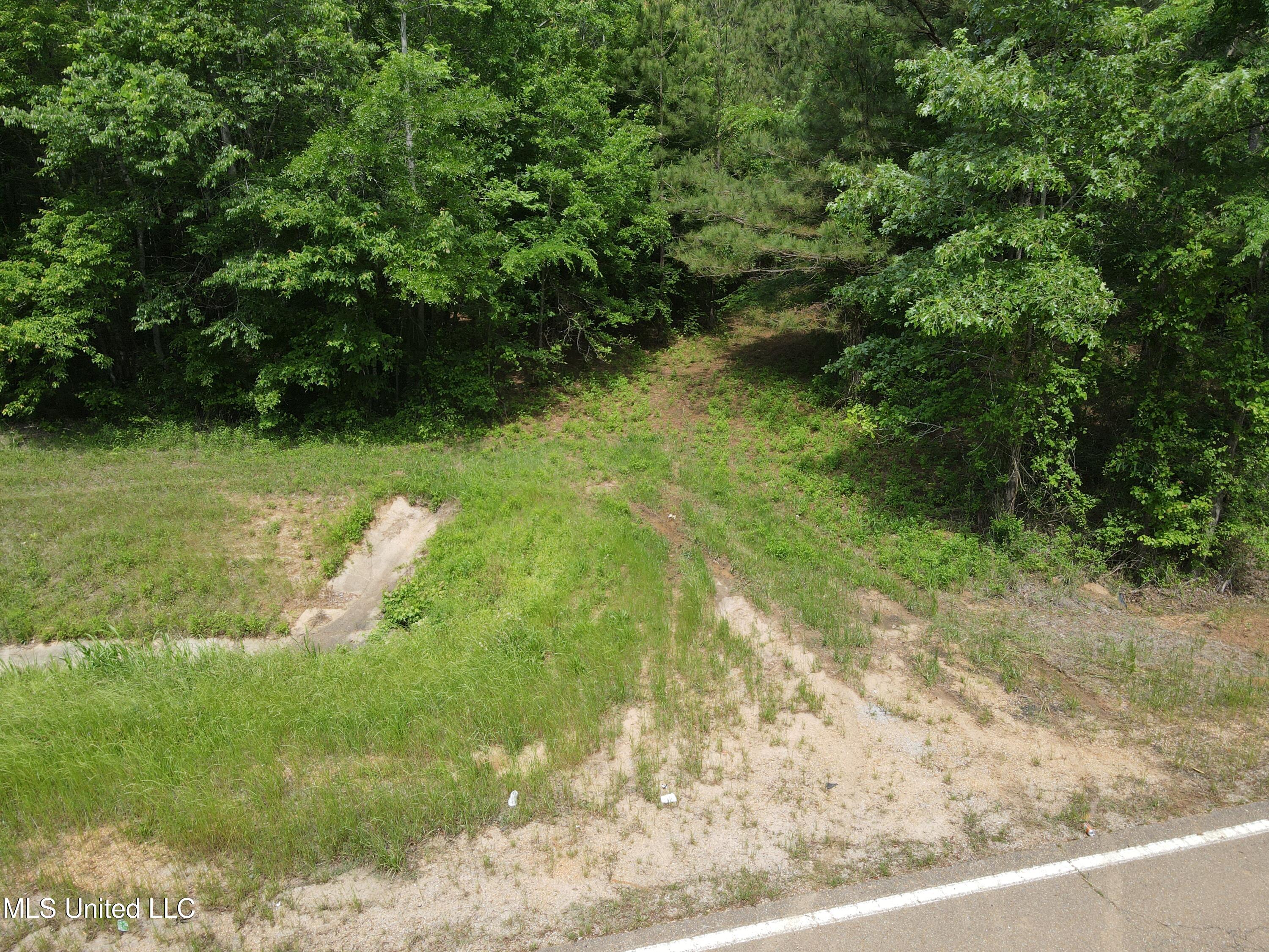 Off Of Mars Hill Road, Carthage, Mississippi image 16