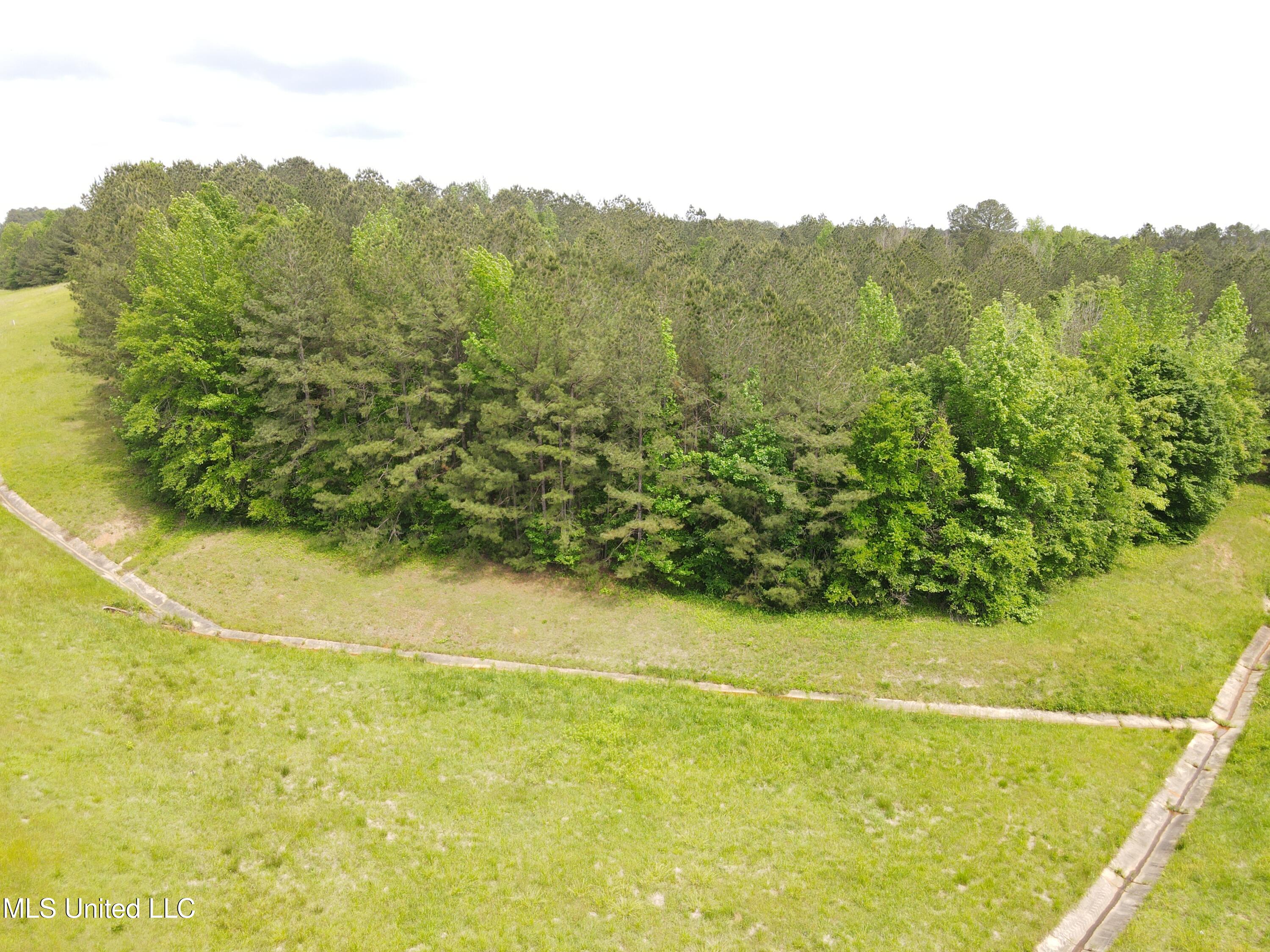 Off Of Mars Hill Road, Carthage, Mississippi image 14