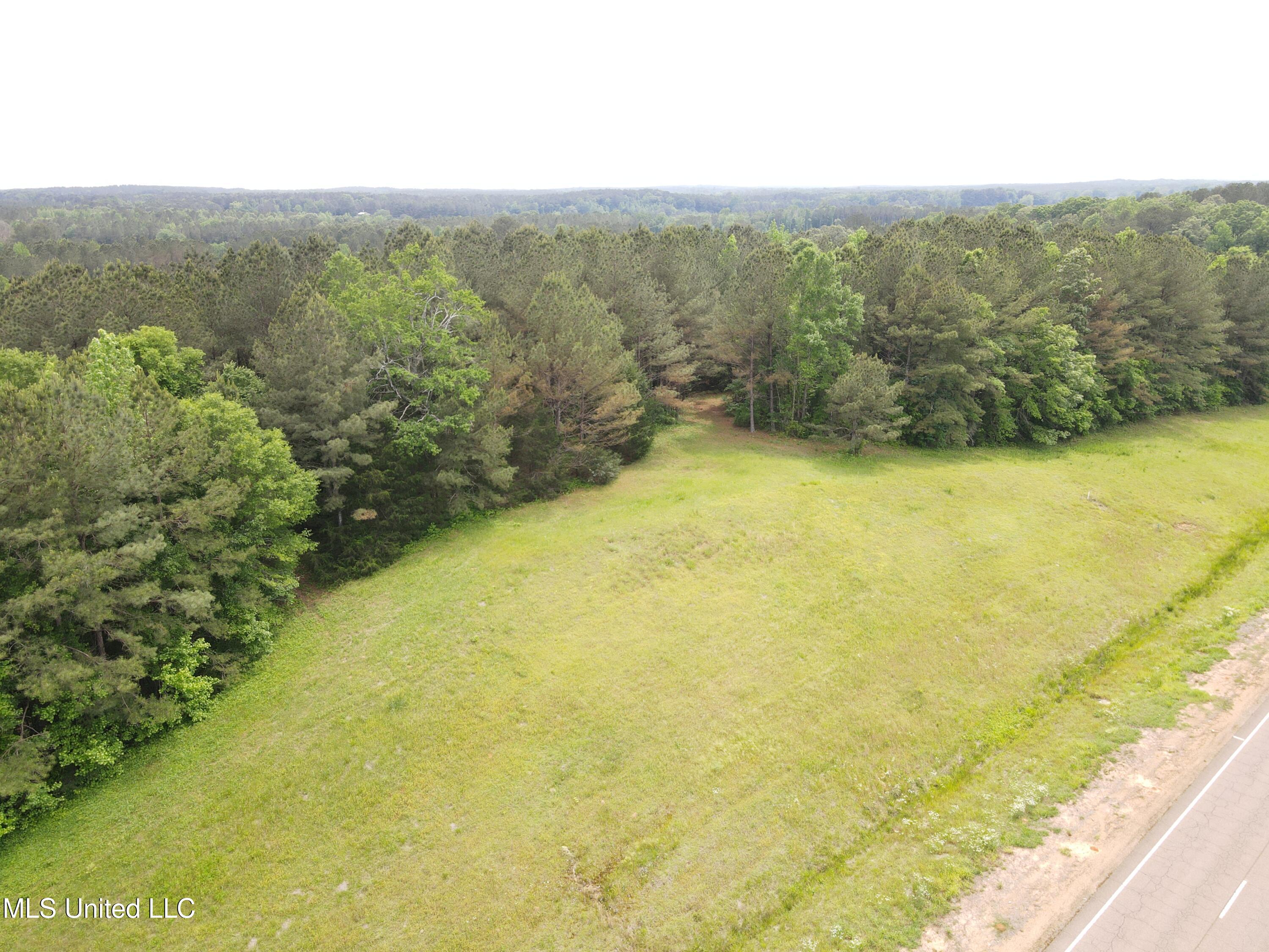 Off Of Mars Hill Road, Carthage, Mississippi image 11