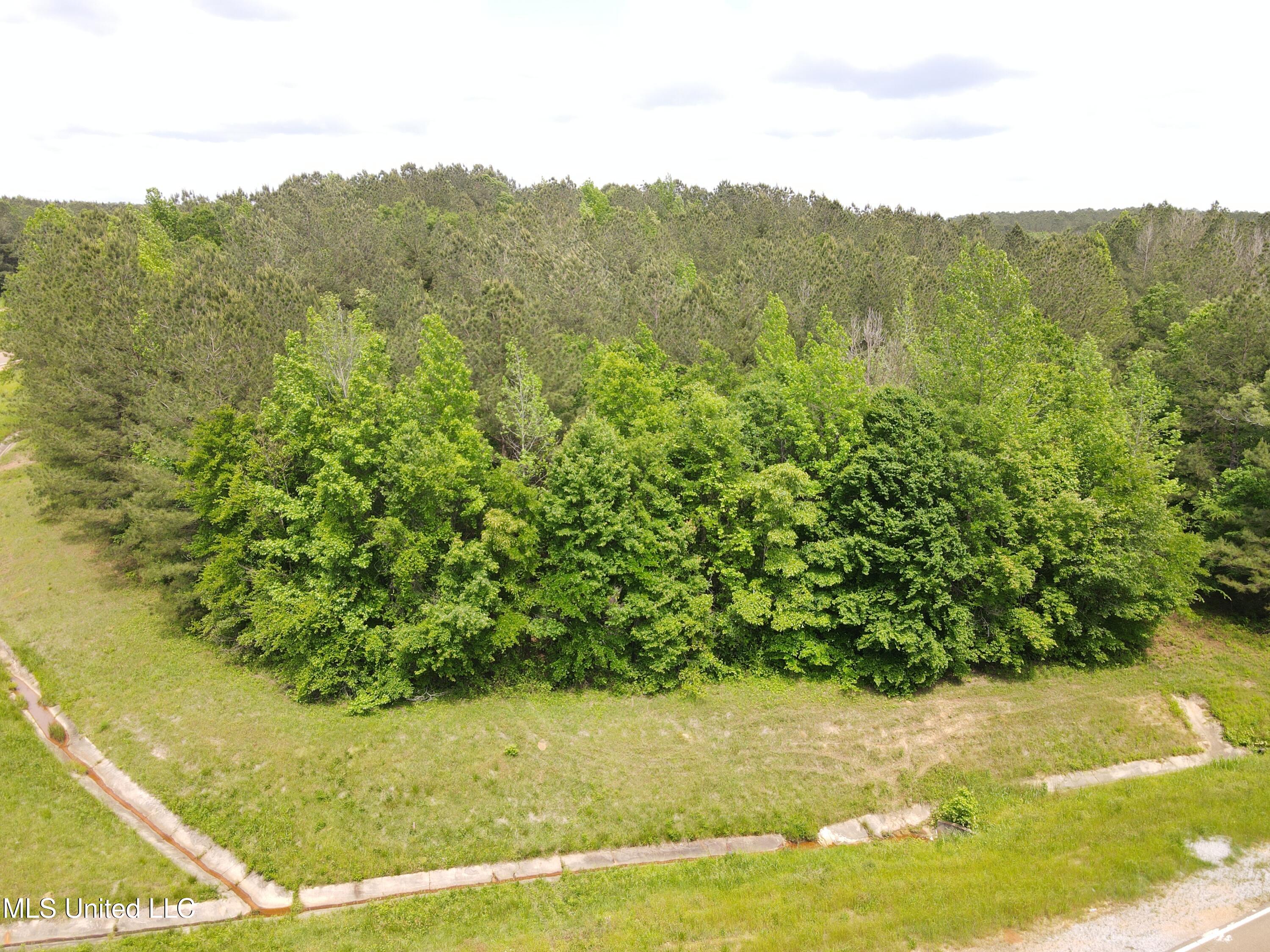 Off Of Mars Hill Road, Carthage, Mississippi image 15