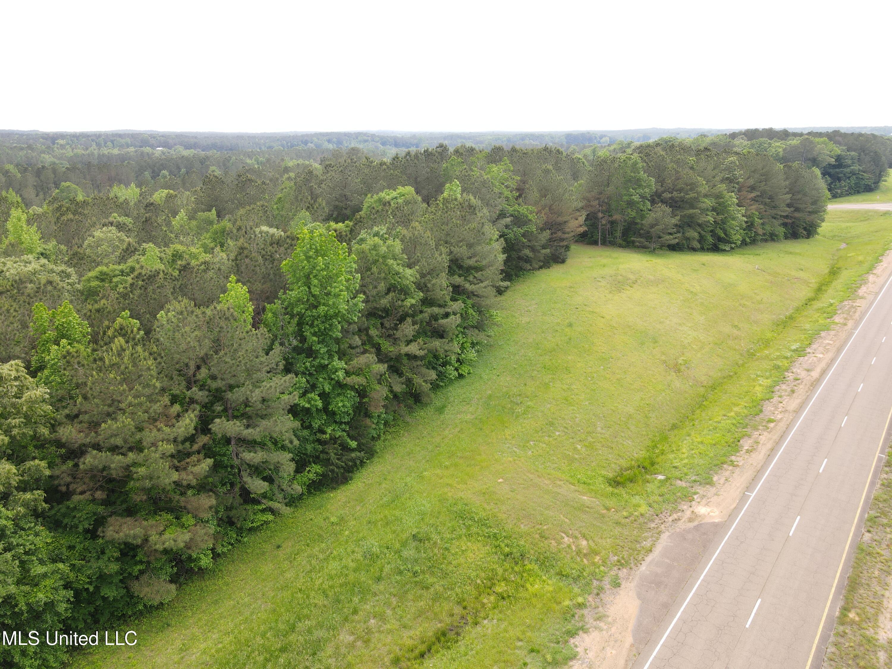 Off Of Mars Hill Road, Carthage, Mississippi image 10