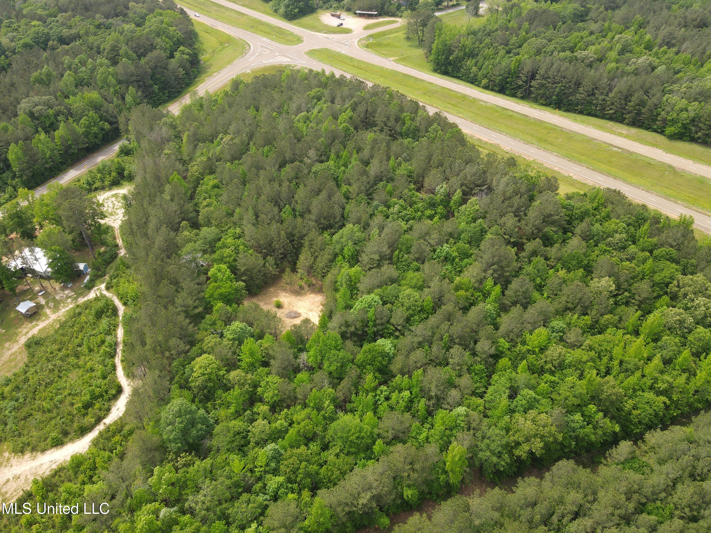 Off Of Mars Hill Road, Carthage, Mississippi image 17