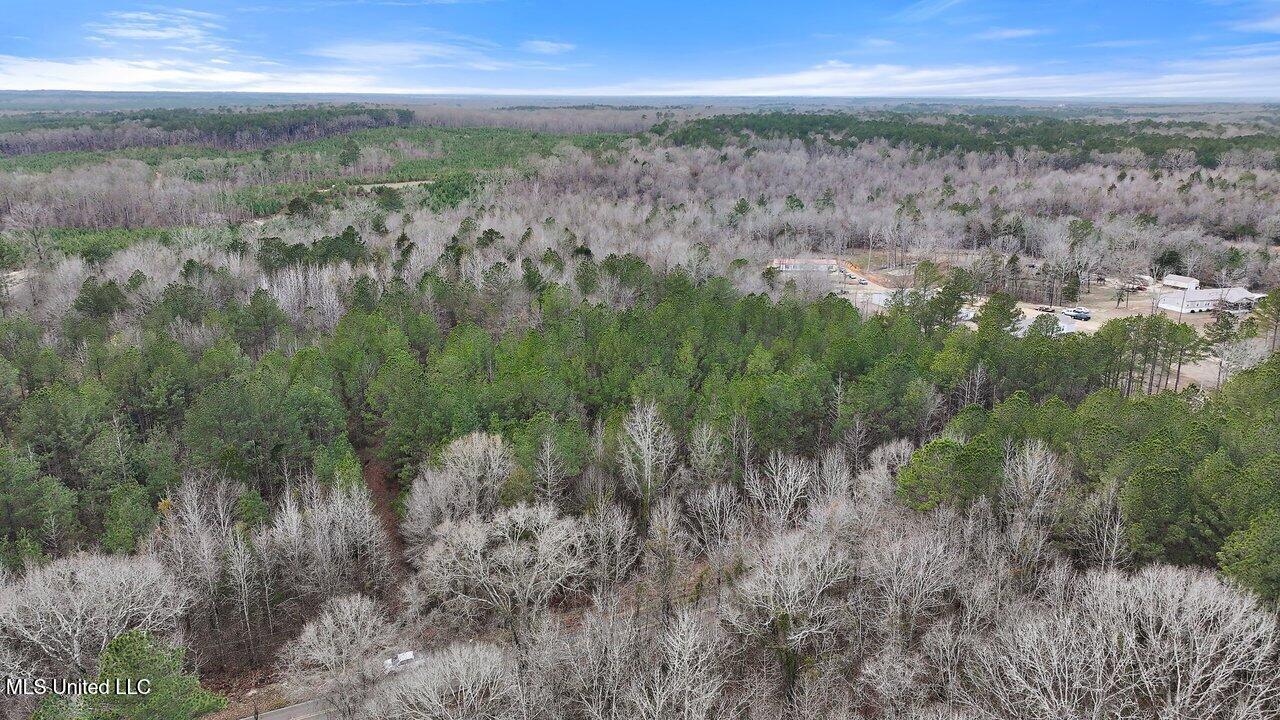 Stump Bridge Road, Camden, Mississippi image 4