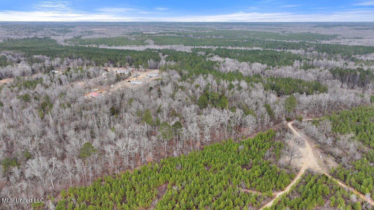 Stump Bridge Road, Camden, Mississippi image 10