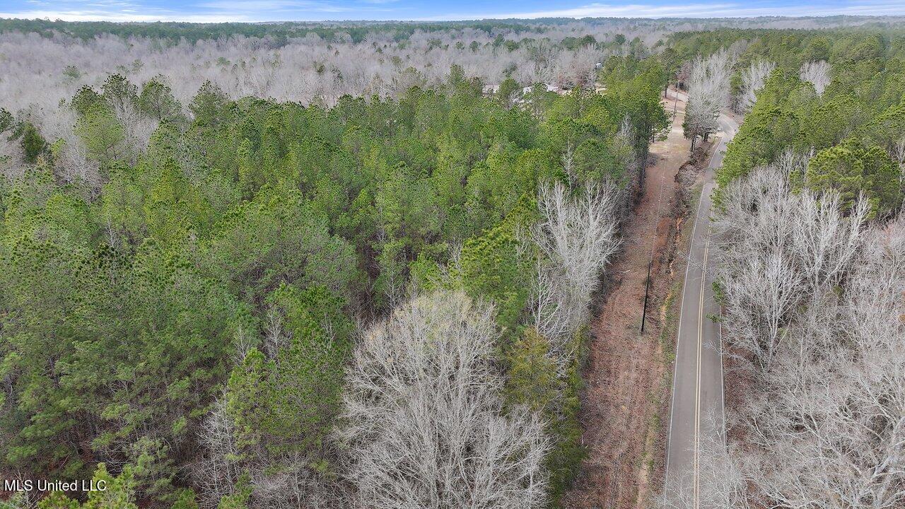 Stump Bridge Road, Camden, Mississippi image 2