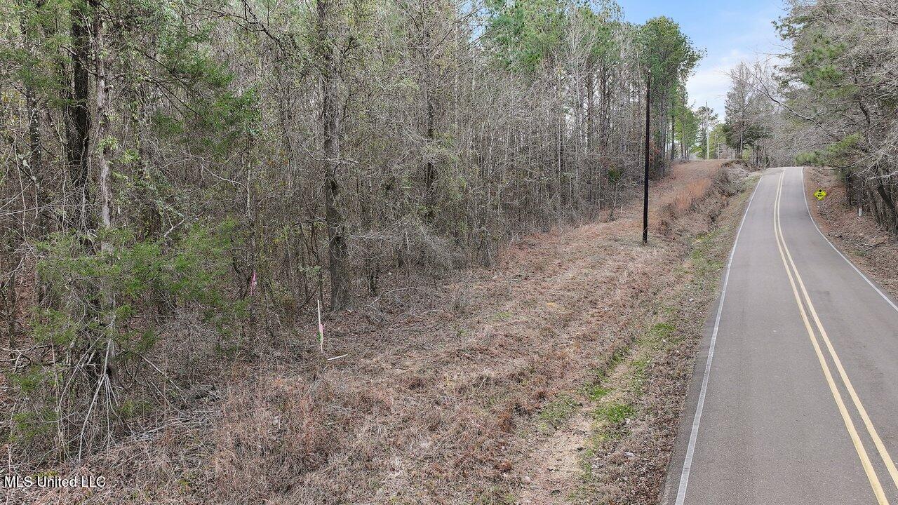 Stump Bridge Road, Camden, Mississippi image 1