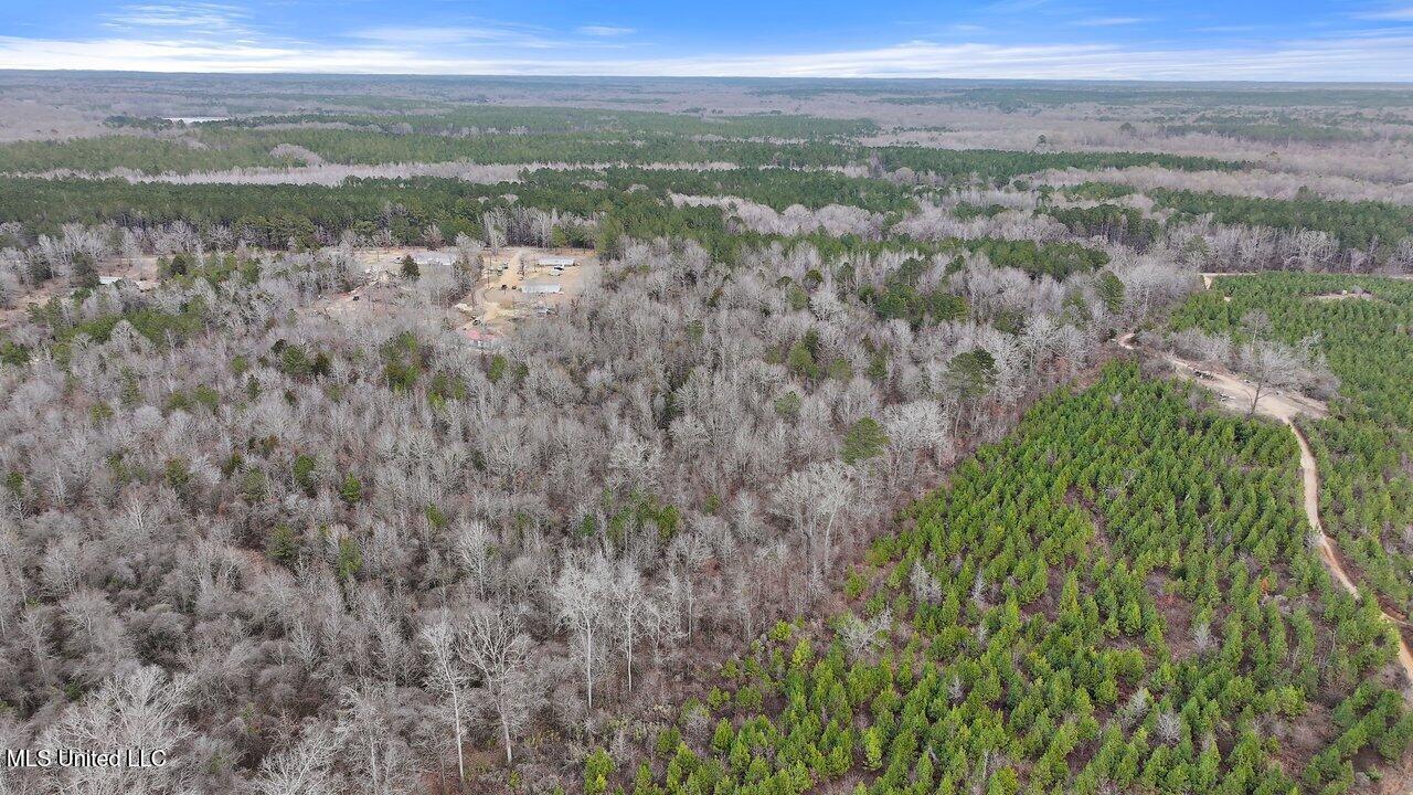 Stump Bridge Road, Camden, Mississippi image 11