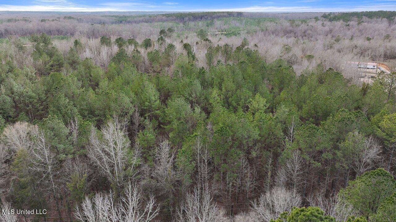 Stump Bridge Road, Camden, Mississippi image 6