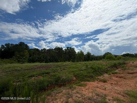 Vacant Land For Sale - 7 Taylor Nicole Road<br/> Desoto County, Byhalia, MS 38611