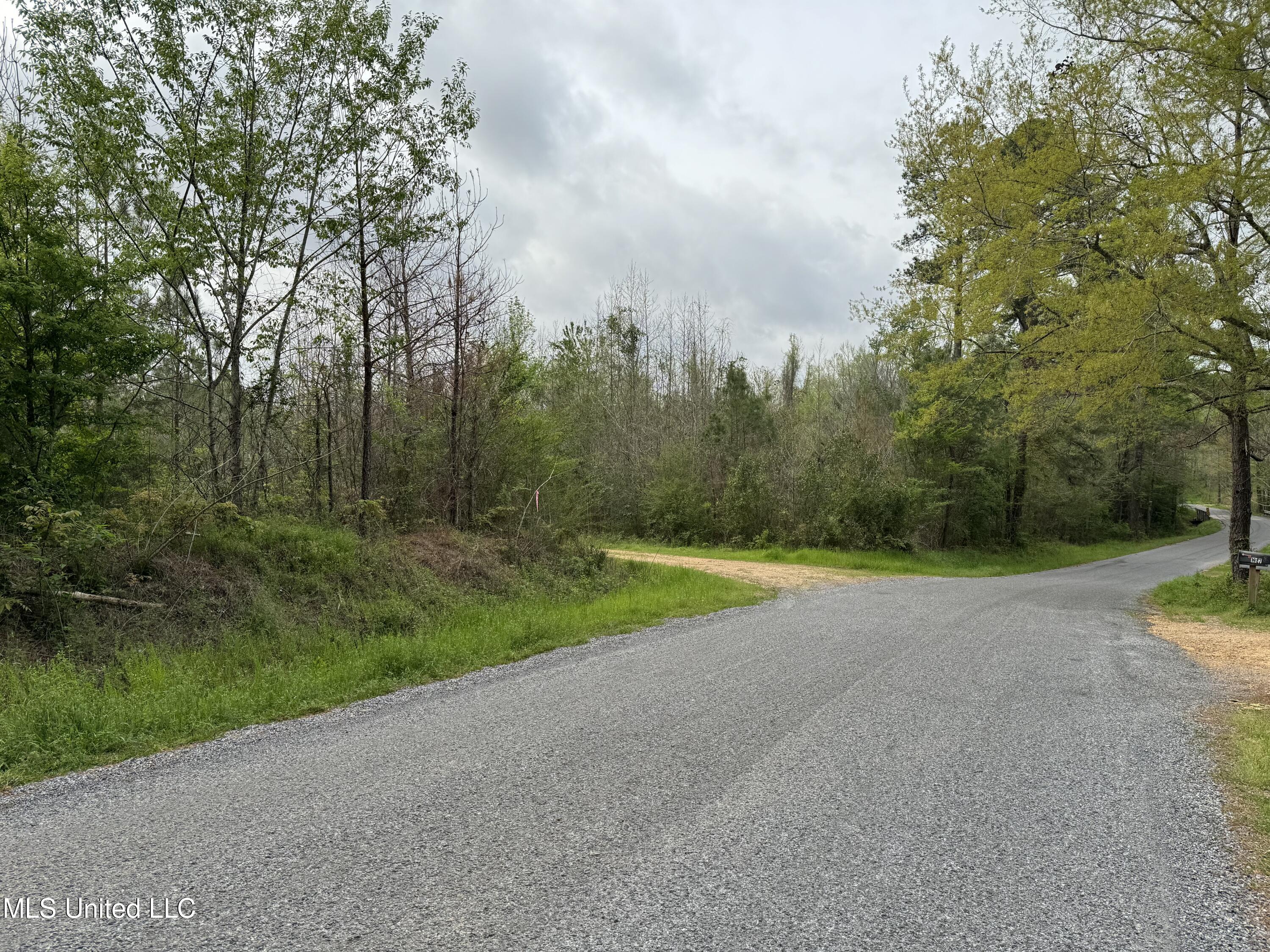 1950 NW Oakwood Ln Lane, Brookhaven, Mississippi image 7