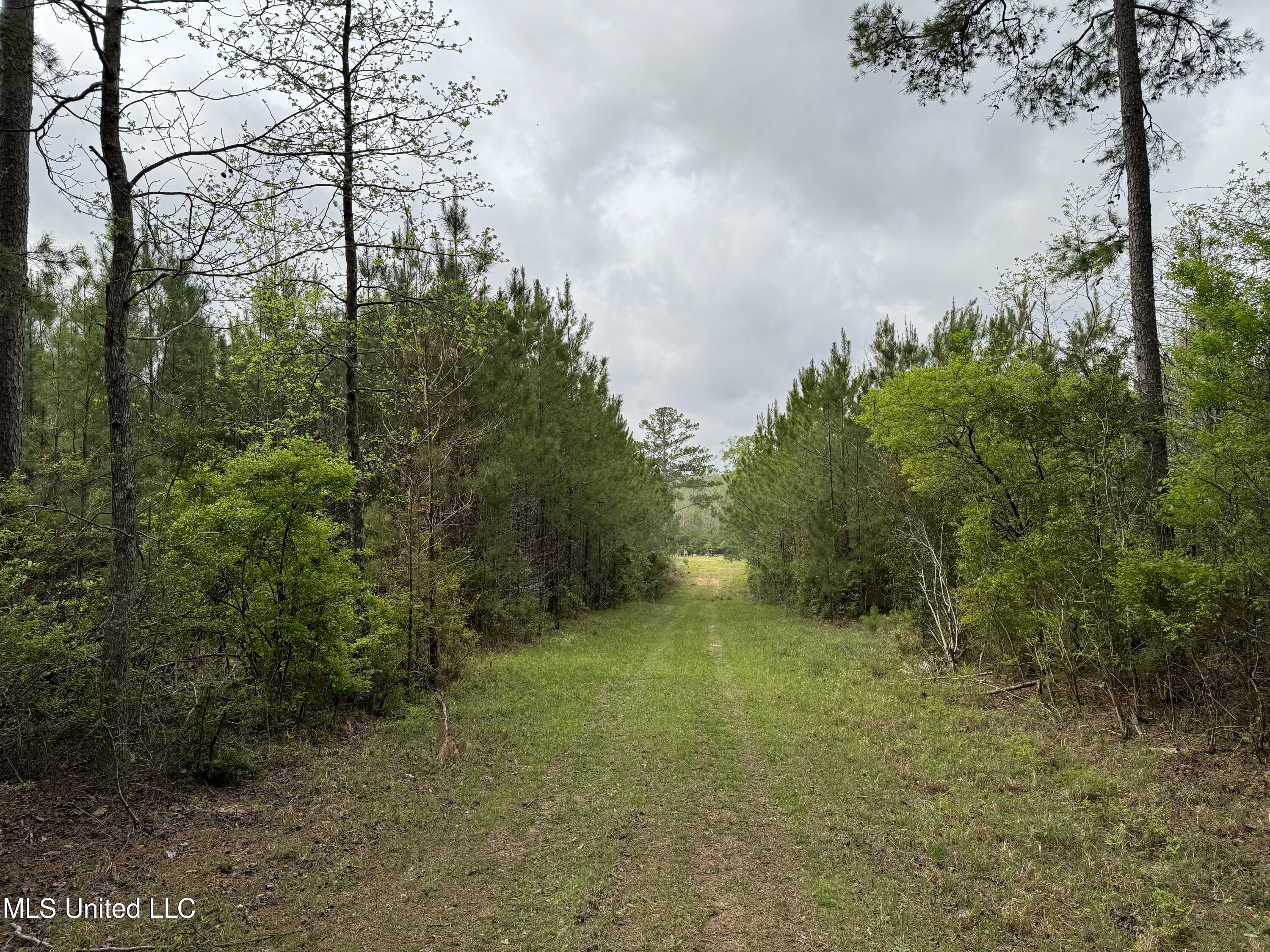 1950 NW Oakwood Ln Lane, Brookhaven, Mississippi image 13